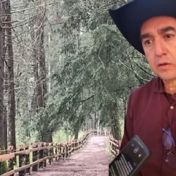 Hidalgo vigila bosques y fauna silvestre para frenar avance del gusano barrenador