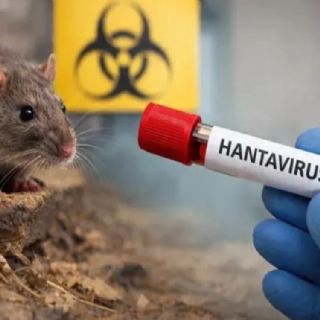 La OMS investiga brote de hantavirus en crucero que deja 3 muertos y casos sospechosos