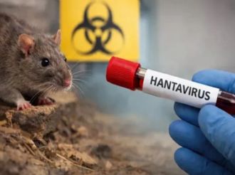 La OMS investiga brote de hantavirus en crucero que deja 3 muertos y casos sospechosos