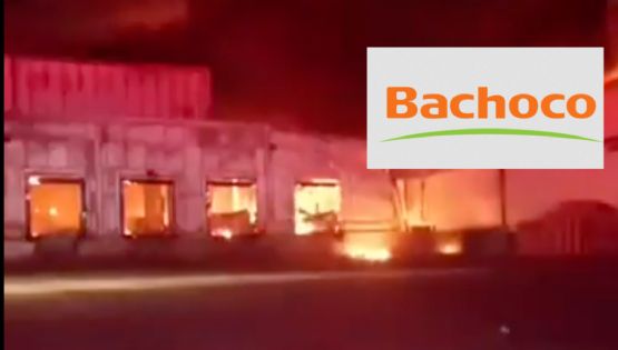 VIDEO: Gigantesco incendio devora planta de Bachoco en la carretera León-Aguascalientes