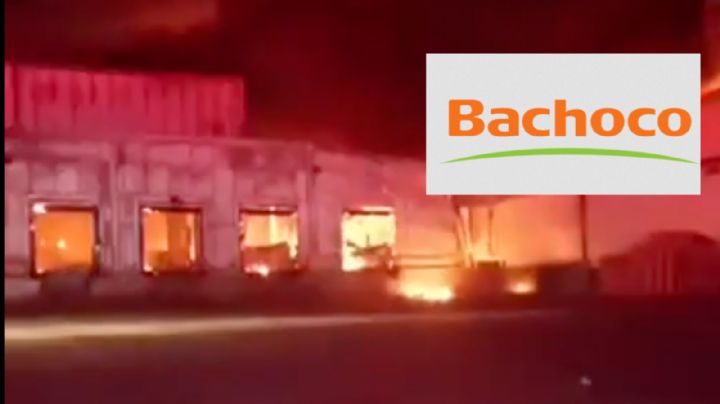 VIDEO: Gigantesco incendio devora planta de Bachoco en la carretera León-Aguascalientes