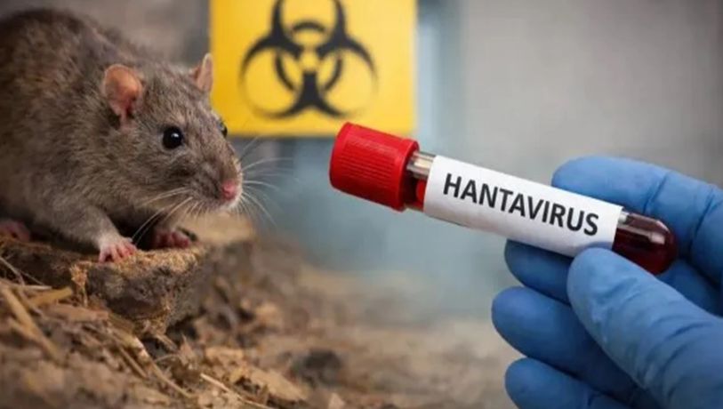 La OMS investiga brote de hantavirus en crucero que deja 3 muertos y casos sospechosos