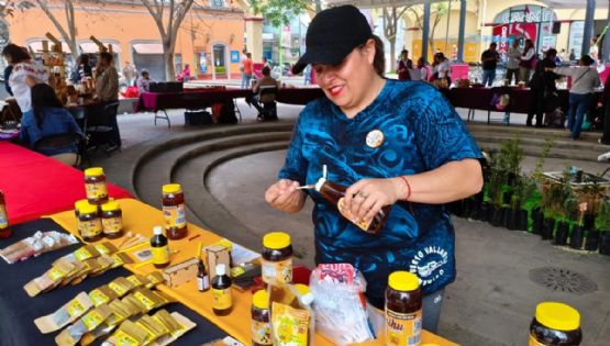 Entre miel, propóleo y veneno de abeja: la mujer que impulsa la apiterapia