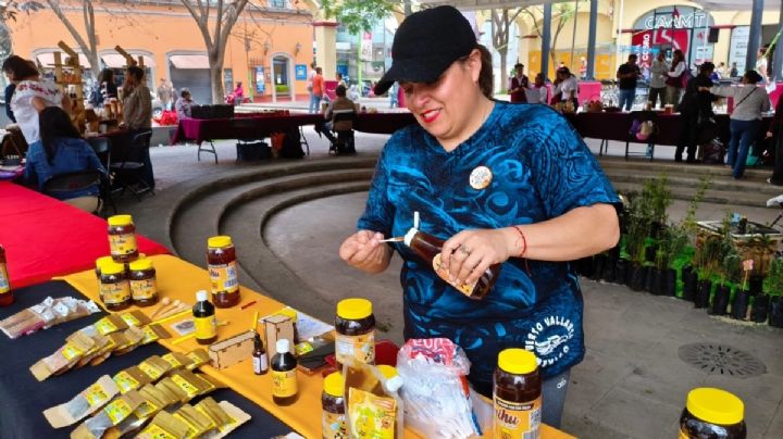 Entre miel, propóleo y veneno de abeja: la mujer que impulsa la apiterapia