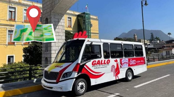 Autobuses Gallo y Gallina en Orizaba: estas son las paradas establecidas