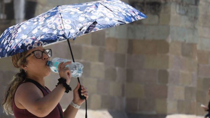 ¡Se quema Guanajuato!, así estará el clima este lunes 4 de mayo