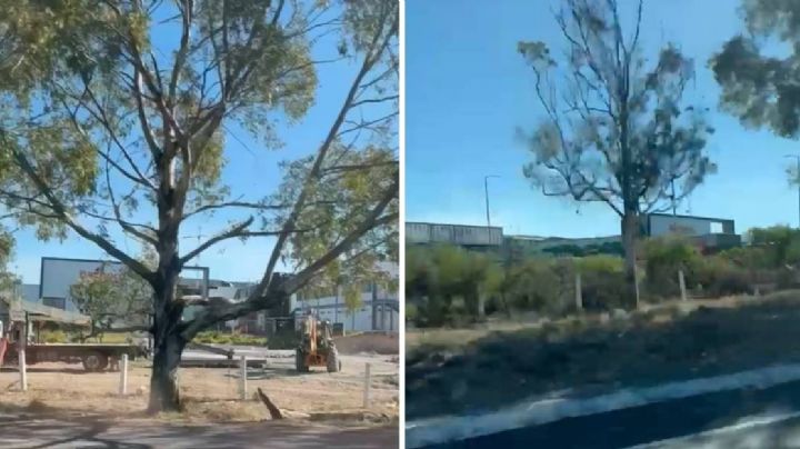 A horas del incendio, aún salía humo de planta Bachoco | VIDEO