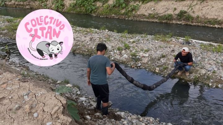 Colectivo instala barreras de cabello para contener contaminación en arroyos de Poza Rica