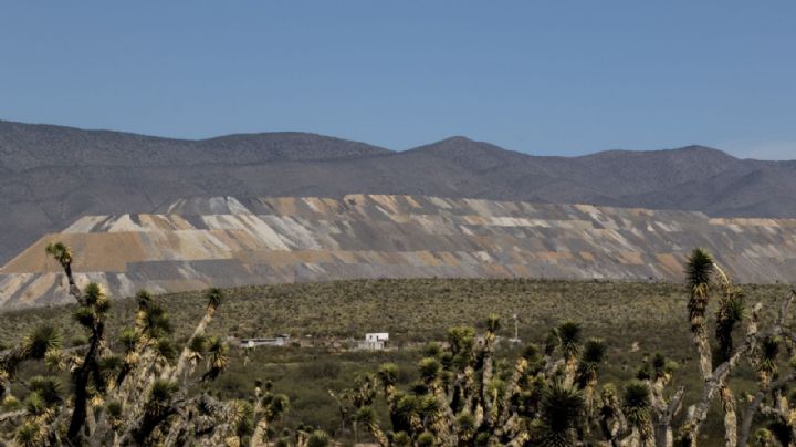 SCJN declara inconstitucional excluir a concubinas del derecho sobre tierras ejidales