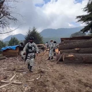 Edomex: presuntos talamontes atacan a elementos de la GN en Ocuilan
