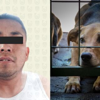 Detienen a hombre por quemar vivo al perro de su novia en Magdalena Contreras