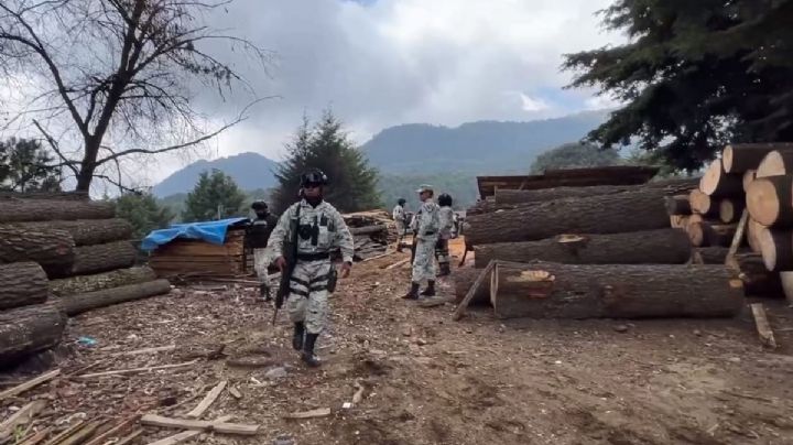 Edomex: presuntos talamontes atacan a elementos de la GN en Ocuilan