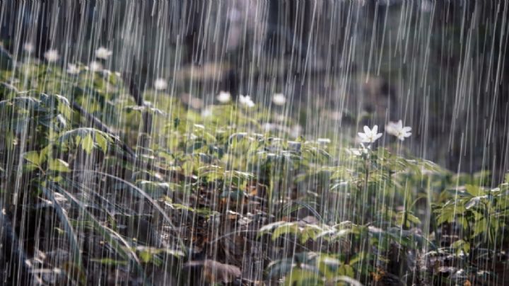 Volverá a llover en Pachuca y municipios de Hidalgo hoy miércoles 6 de mayo