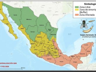 MAPA: los estados en donde hay casos de gusano barrenador