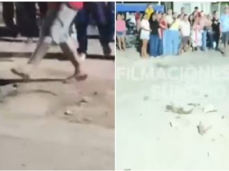 Piñata con iguanas vivas desata indignación y revive prácticas prohibidas en Yucatán
