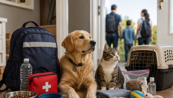 ¿Cómo incluir a perros y gatos en simulacros? Guía esencial para proteger a tus mascotas