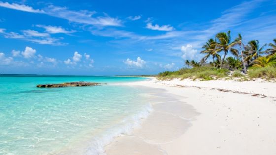 Las playas de Yucatán con la arena más blanca: por qué, cómo son y cómo llegar