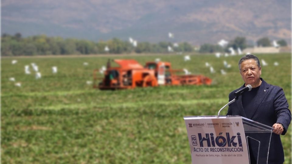 Hay una plaga de moscos en los alrededores de la presa