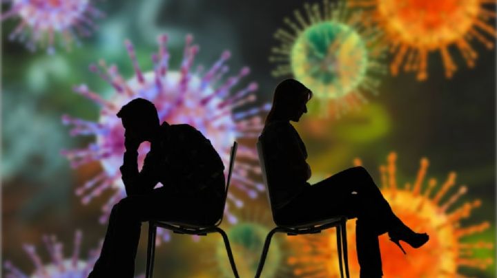 Brote de hantavirus: ¿qué se sabe del viaje de la pareja señalada como los pacientes "cero"?