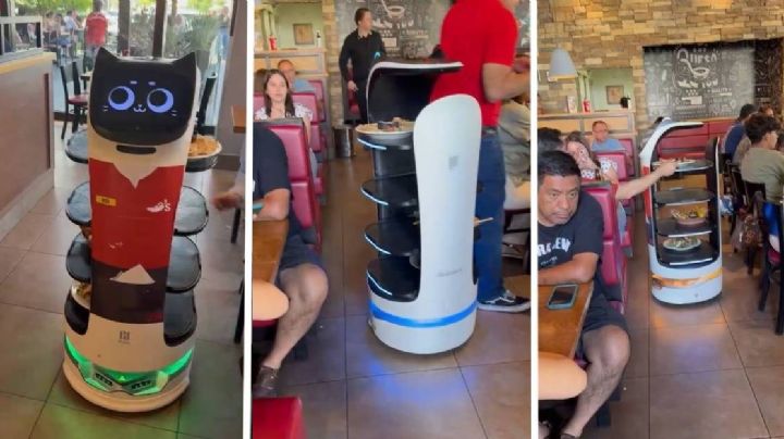 ¿Cuántos robots meseros hay en León?