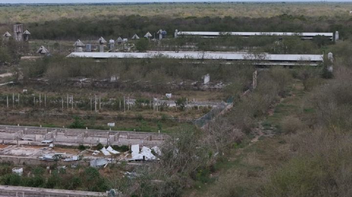 Población de Yucatán busca sanear pueblo tras ganar lucha contra mega granja porcícola