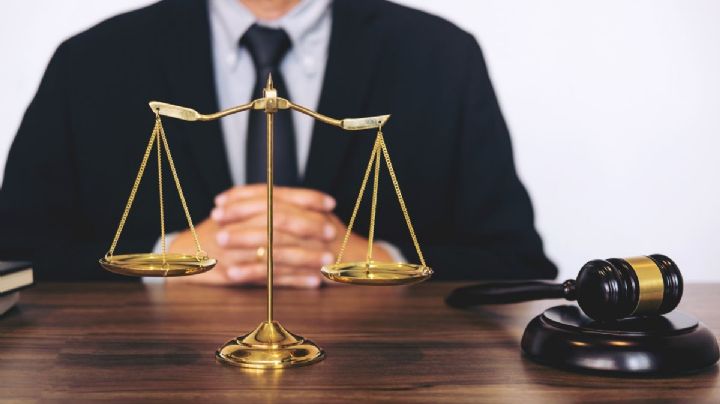 ¿Hay tigres vegetarianos? La reforma de la reforma judicial