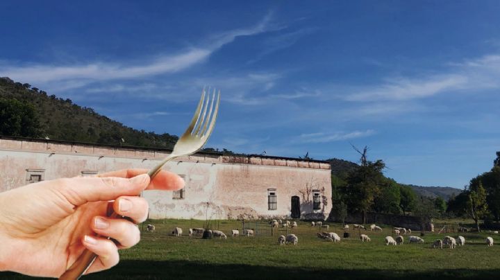 Lánzate al Festival del Cordero y Mezcal de Hidalgo en una hacienda centenaria; aquí detalles