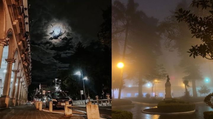 Escrita en una servilleta, así se creó la canción Noche de Luna en Xalapa
