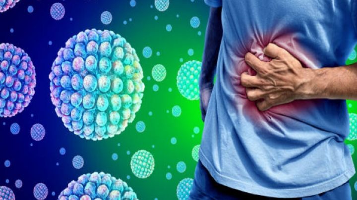 Más de 100 enfermos por norovirus en crucero turístico de Florida; esto se sabe