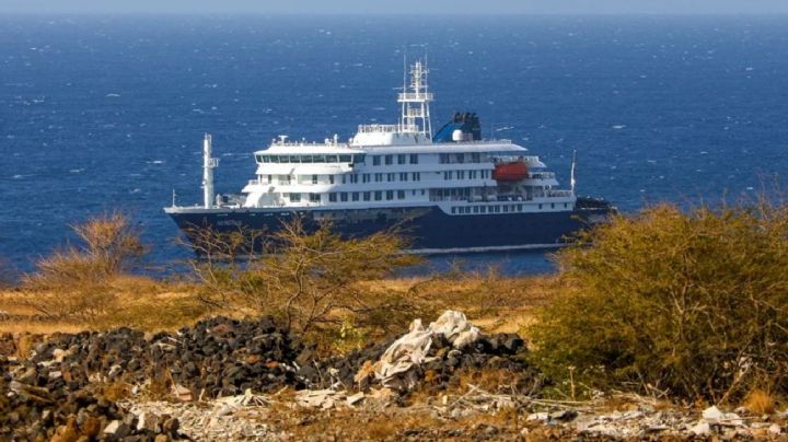 ¿Qué pasará en Tenerife con el crucero del brote de hantavirus?
