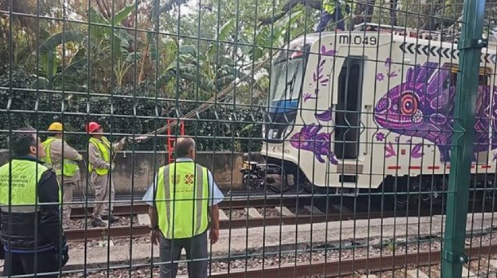 Tren Ligero CDMX: se restablece el servicio de Taxqueña a Xochimilco tras más de tres horas