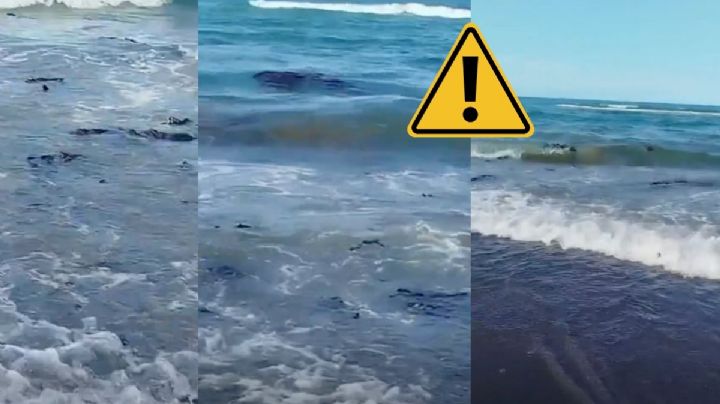 VIDEO: recalan manchas de hidrocarburo en playas de Vega de Alatorre