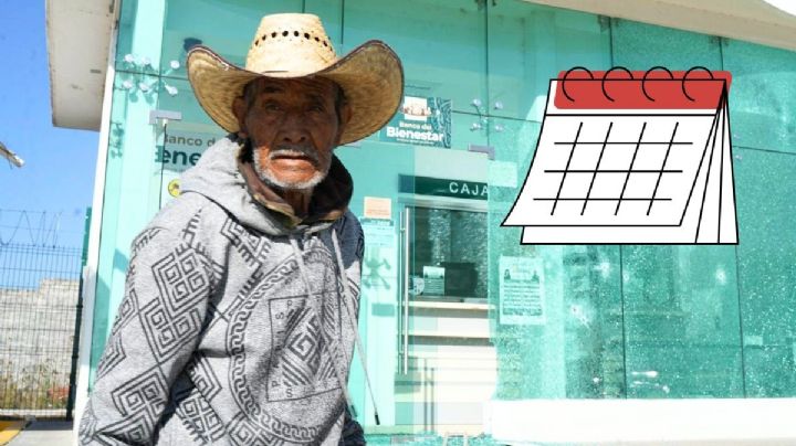 Pensión Bienestar: este día inicia registro en Veracruz para apoyo bimestral de 6 mil 400 pesos