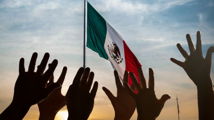 Perdón, no supimos proteger la democracia que heredamos