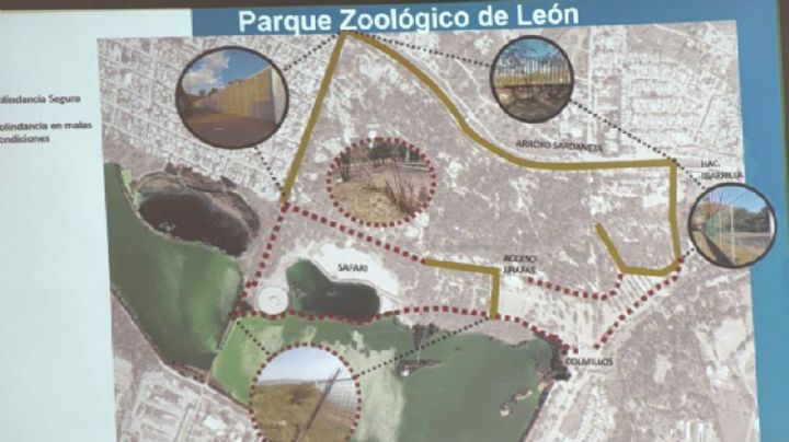 Toda la malla metálica frontal del Zoológico de León está en malas condiciones