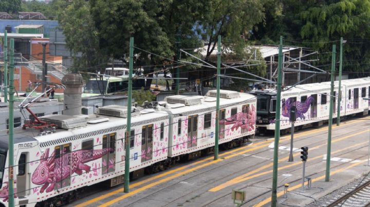 Tren ligero: aumentan fallas e interrupciones de servicio por falta de energía