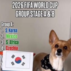 Perrito se vuelve viral tras revelar cómo le irá a México en el Mundial 2026 | VIDEO