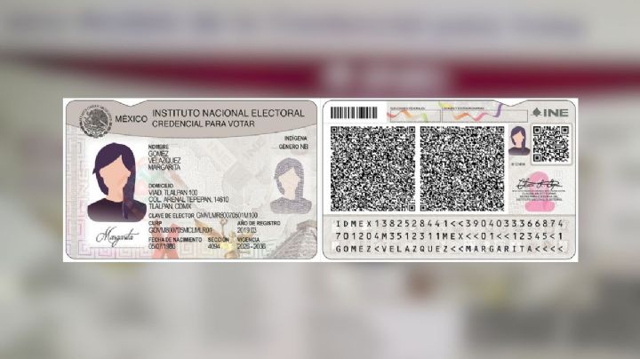 Así son las nuevas credenciales del INE que comenzarán a entregarse en municipios de Veracruz