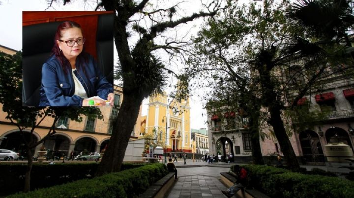 Empresarios pagaron transmisión del Mundial en el Parque Juárez de Xalapa, no el ayuntamiento: Daniela Griego