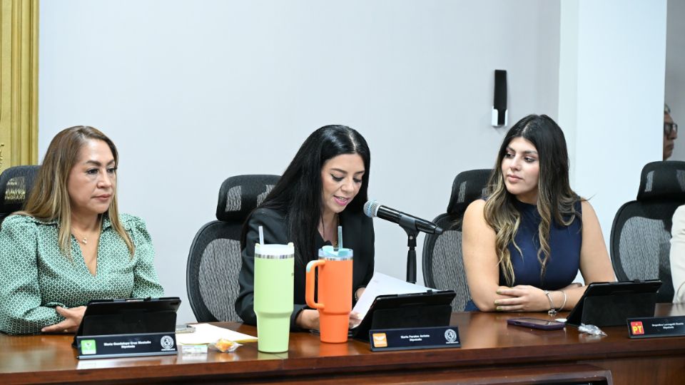La iniciativa busca reformar leyes federales para fomentar la corresponsabilidad en la crianza y reducir la brecha de cuidados en los primeros meses de vida.