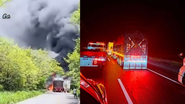 Video: abren carretera Cardel - Nautla tras 18 horas de cierre vial por choque de camiones