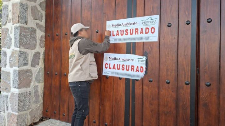 Ecocidio en parque nacional El Chico: clausuran cabaña, salón y estacionamientos