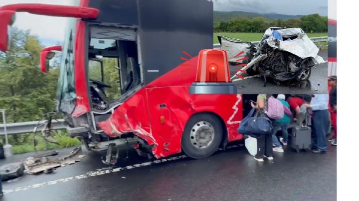 Video: ADO y auto chocan en autopista Cardel - Poza Rica; hay 1 muerto