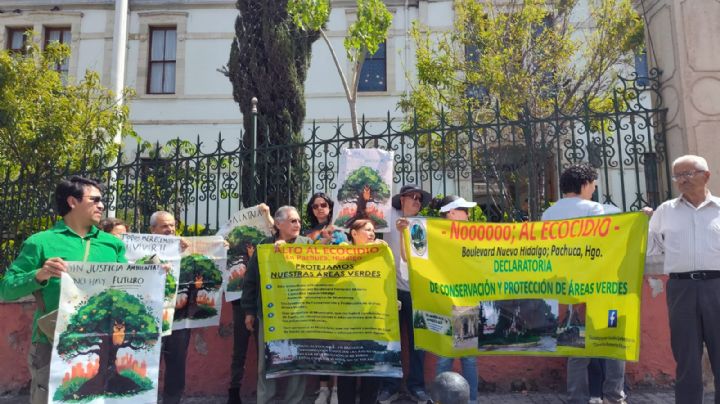 “No a la tala”: exigen respetar más de un centenar de árboles del bulevar Fomento Minero