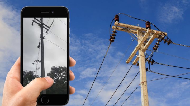 Solo pasa en Hidalgo: serpiente sube a poste de CFE y deja sin luz una localidad | VIDEO