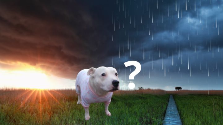 ¿Sales este domingo? Prepárate para las lluvias y el ambiente fresco en Hidalgo