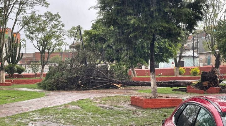 Más lluvias y ambiente fresco en Guanajuato este domingo 14 de junio