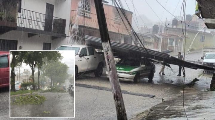 Lluvias y fuertes vientos en Xalapa derriban lámina, postes y árboles hoy 15 de junio