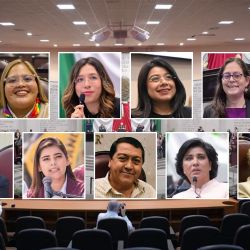 Ellas y ellos son los diputados acusados de “plagiar” iniciativas en el Congreso de Veracruz