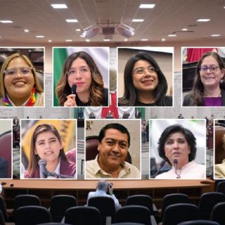 Ellas y ellos son los diputados acusados de “plagiar” iniciativas en el Congreso